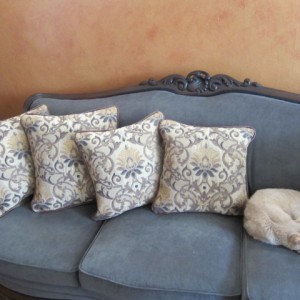 Two pairs of leather trimmed pillows complement the client's furniture